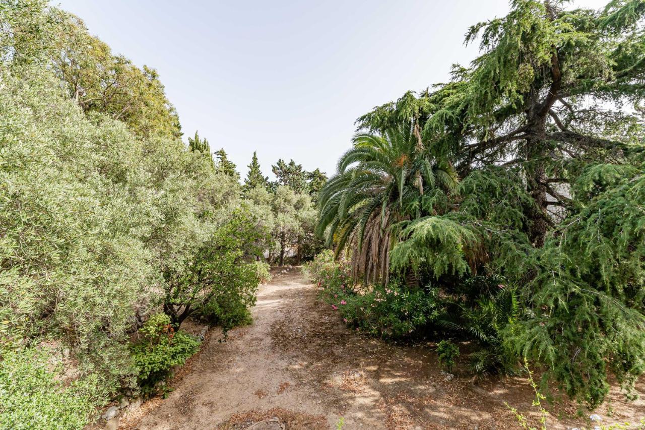 La Viguerie Par Dodo-A-Cassis Daire Dış mekan fotoğraf